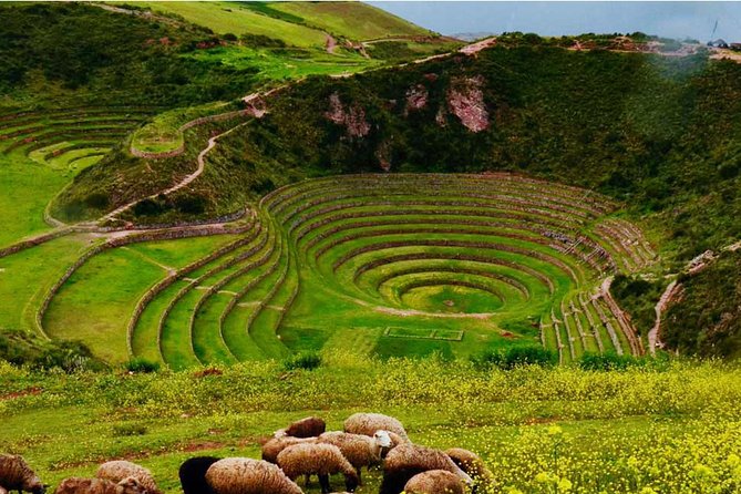 Private Tour Sacred Valley, Chinchero, Maras Moray, Ollantaytambo - Urubamba and the Andean buffet lunch