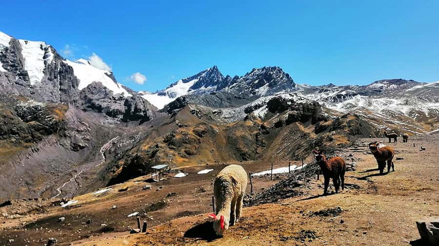 Rainbow Mountain tour and Machu Picchu tour by train - What the $370 really buys you