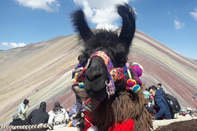 Rainbow Mountain Tour Vinicunca (Full Day) - The summit view at 5,036 meters