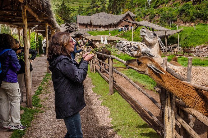 Sacred Valley and Machu Picchu Tour in 2 days with Peru Vip - Urubamba buffet lunch