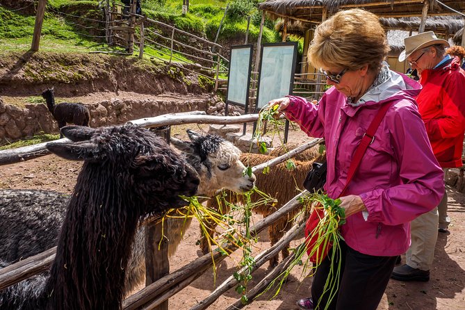 Sacred Valley and Machu Picchu Tour in 2 days with Peru Vip - Your Machu Picchu morning