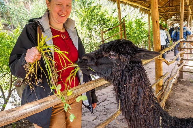 Sacred Valley and Machu Picchu Tour in 2 days with Peru Vip - Lunch and the return to Cusco