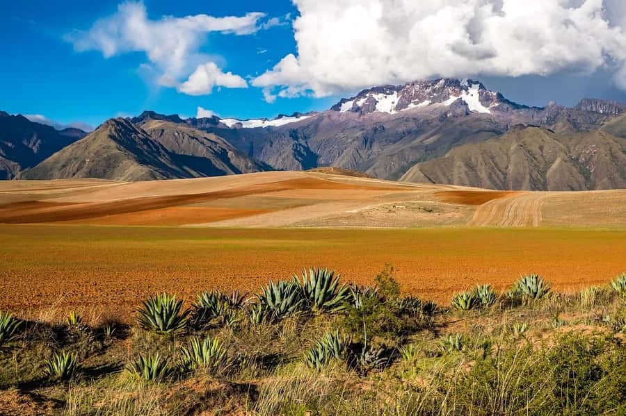 Sacred Valley: Chinchero, Moray, Ollantaytambo & Pisac+Lunch - Urubamba provides the day’s best pause