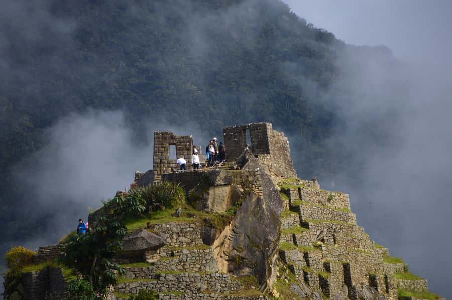 Sacred Valley & Machu Picchu by Train: 2-Day, 1-Night Tour - Meeting alpacas before the Sacred Valley
