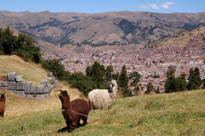 Sacsayhuaman Temple, Tambomachay and Puca Pucara Half-Day Tour - The textile-shop issue