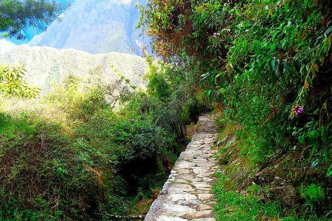 Small Group: 4-Day Inca Trail Trek to Machu Picchu - Day 3: Runkurakay, Sayacmarca, and Wiñayhuayna