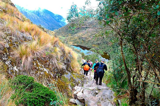 Small Group: 4-Day Inca Trail Trek to Machu Picchu - Day 4: Machu Picchu, Aguas Calientes, and Cusco