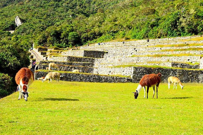 Small Group: 4-Day Inca Trail Trek to Machu Picchu - What $850 gets you