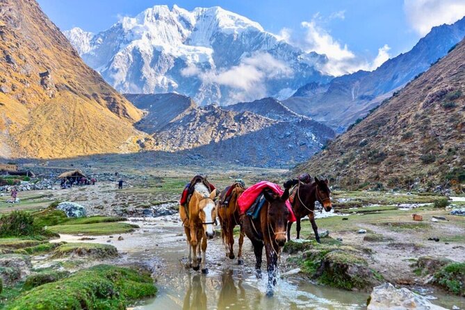 Small Group 5 Days Salkantay and Machu Picchu by Llactapata Tour - What the $593 price covers