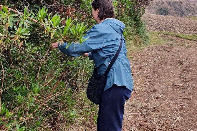 The Textile Workshop Experience in Cusco Region - Getting there from Cusco