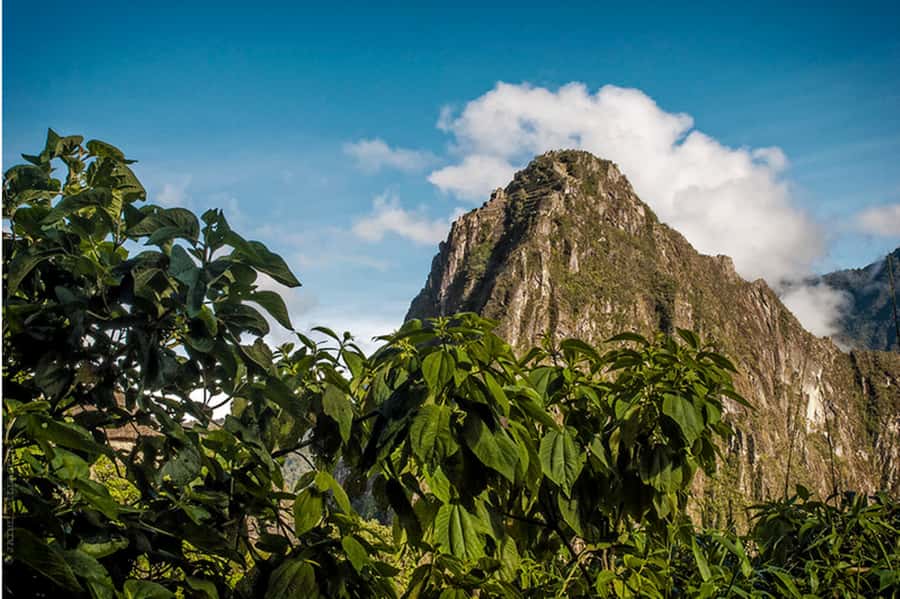 Tour Machu Picchu + Mountain of Huayna Picchu 2 days - Private group support and language choices