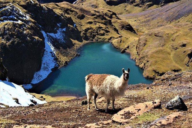 Ultimate Lares Trek & Inca Trail 5 days - Camping, food, and the people who make it work