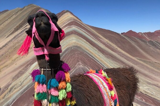 Vinicunca Rainbow Mountain Full-Day Tour from Cusco - Why Vinicunca is worth the early alarm