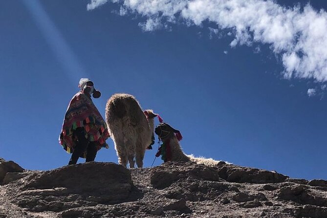 Vinicunca Rainbow Mountain Full-Day Tour from Cusco - Who should choose this tour