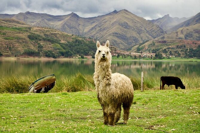 Wonderful Cusco 5-Day Tour with Entrance to Machupicchu - Who will get the most from this package
